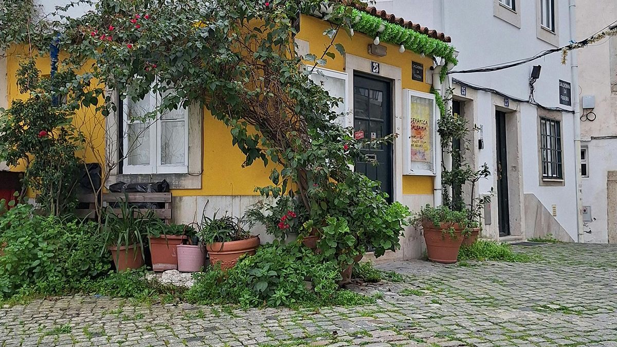 Соляна кислота добре відчищає бруківку Соляна кислота добре відчищає бруківку