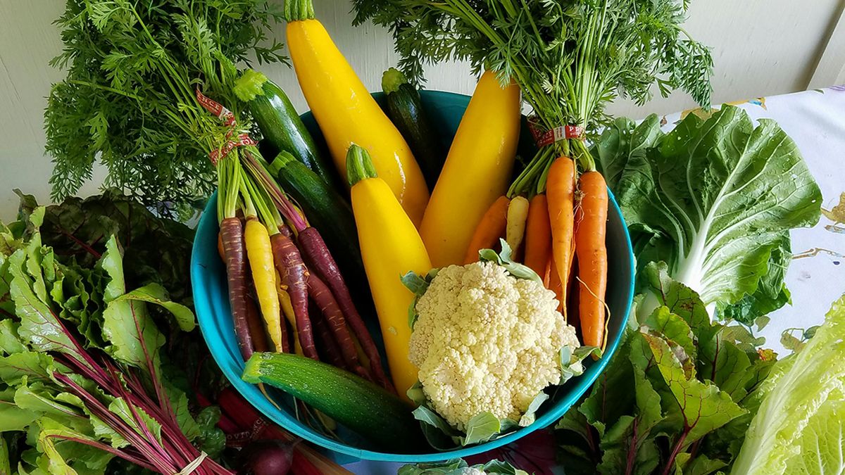 Овощи, которые нужно посадить в августе Овощи, которые нужно посадить в августе