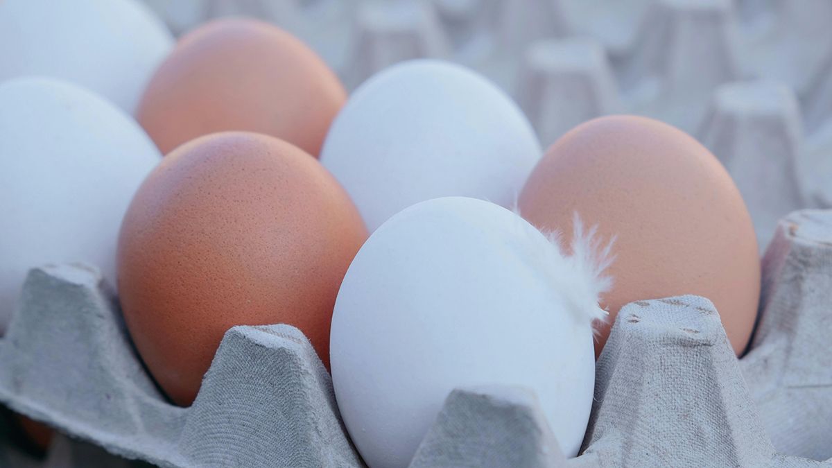 Совет, который поможет сохранить яйца свежими Совет, который поможет сохранить яйца свежими