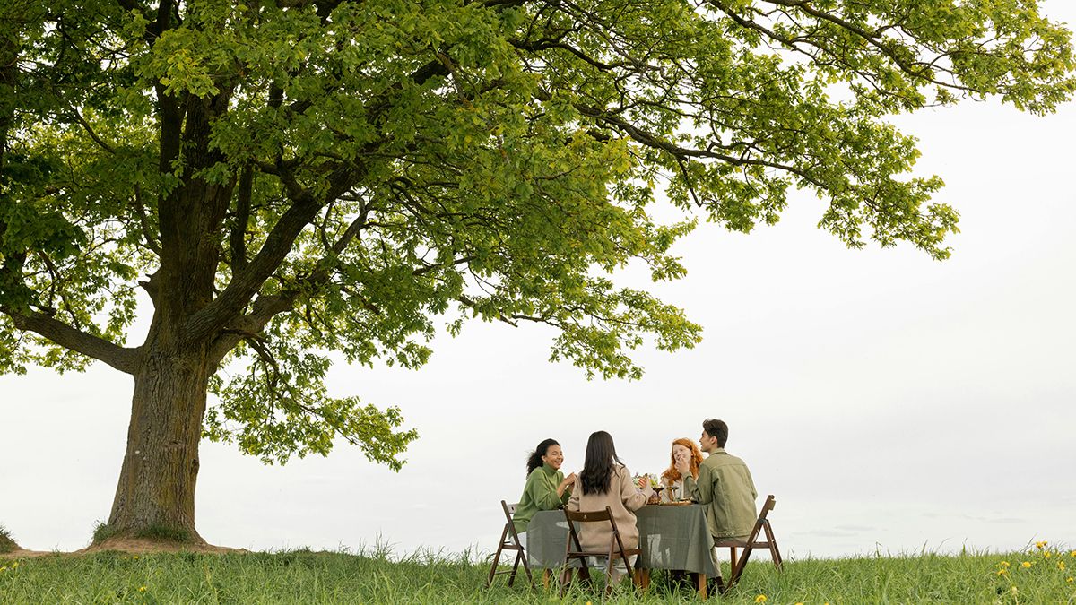 Дуб не варто садити біля дому Дуб не варто садити біля дому