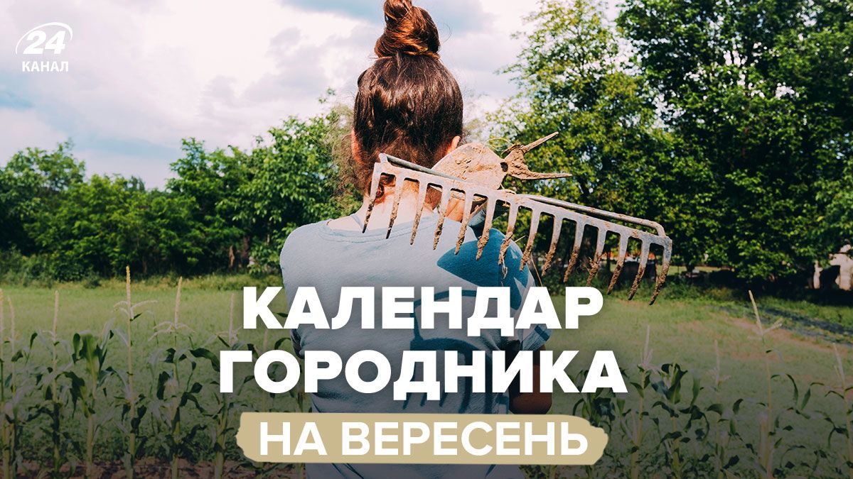 Які справи на городі зробити у вересні