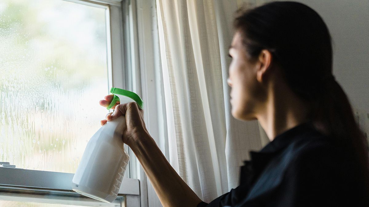 Совет, который поможет отмыть окна Совет, который поможет отмыть окна