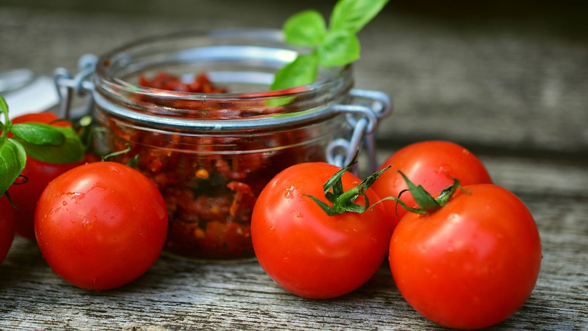 Самые лучшие сорта помидоров для консервации Самые лучшие сорта помидоров для консервации