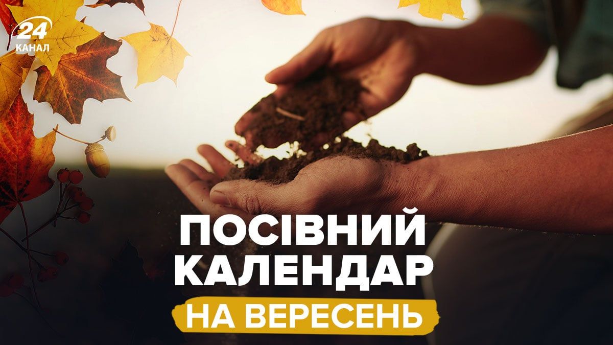 Посівний календар на вересень 2025 Посівний календар на вересень 2025