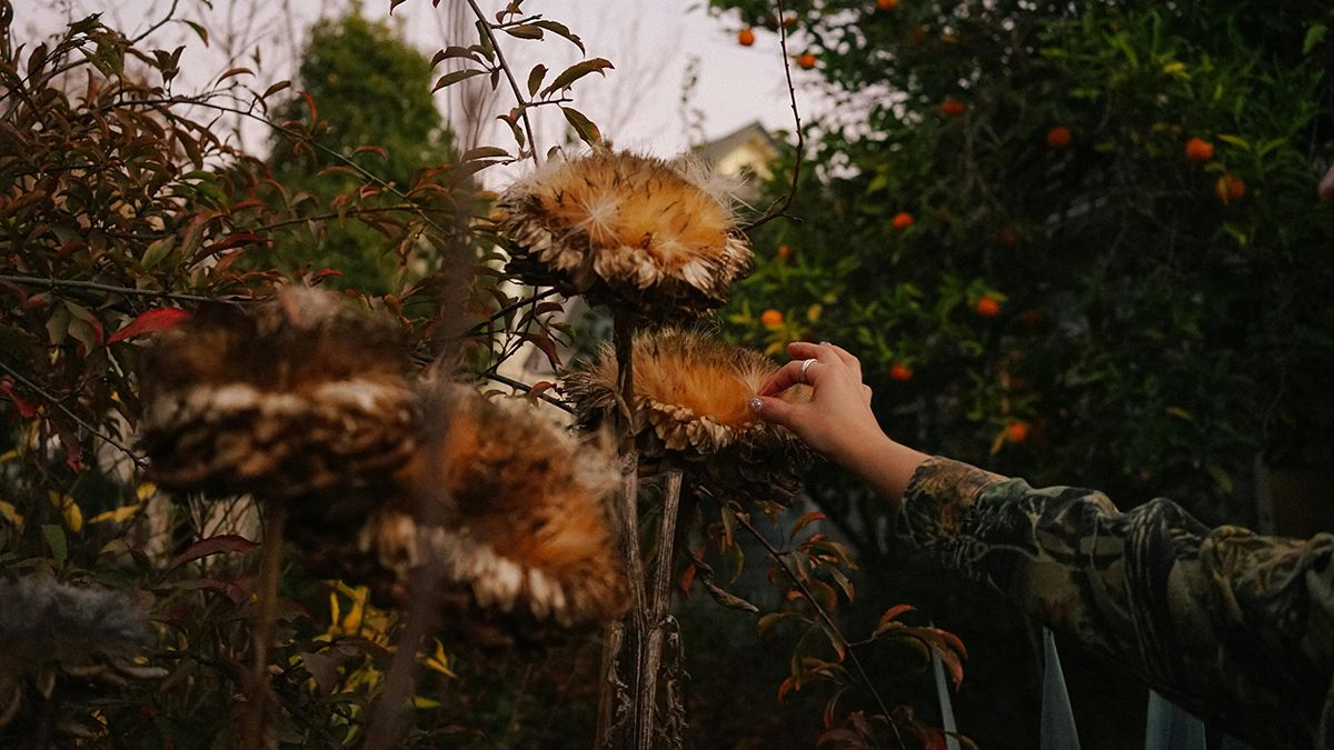 Список справ на вересень Список справ на вересень