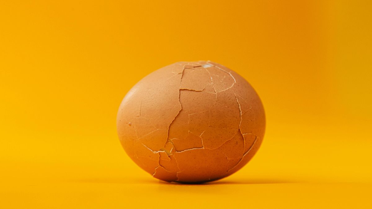 Яичная скорлупа является очень полезной Яичная скорлупа является очень полезной