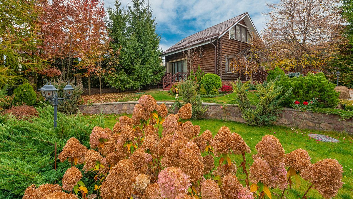 Правила обрізання гортензії Правила обрізання гортензії