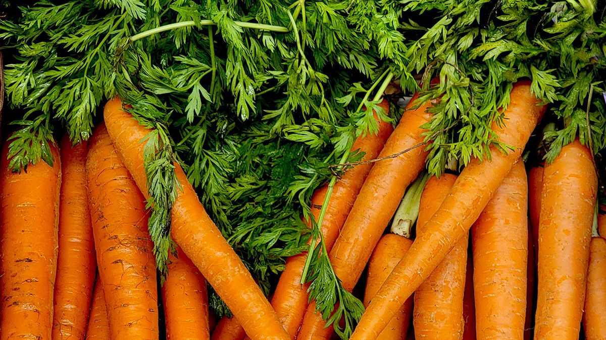 Как хранить морковь зимой Как хранить морковь зимой