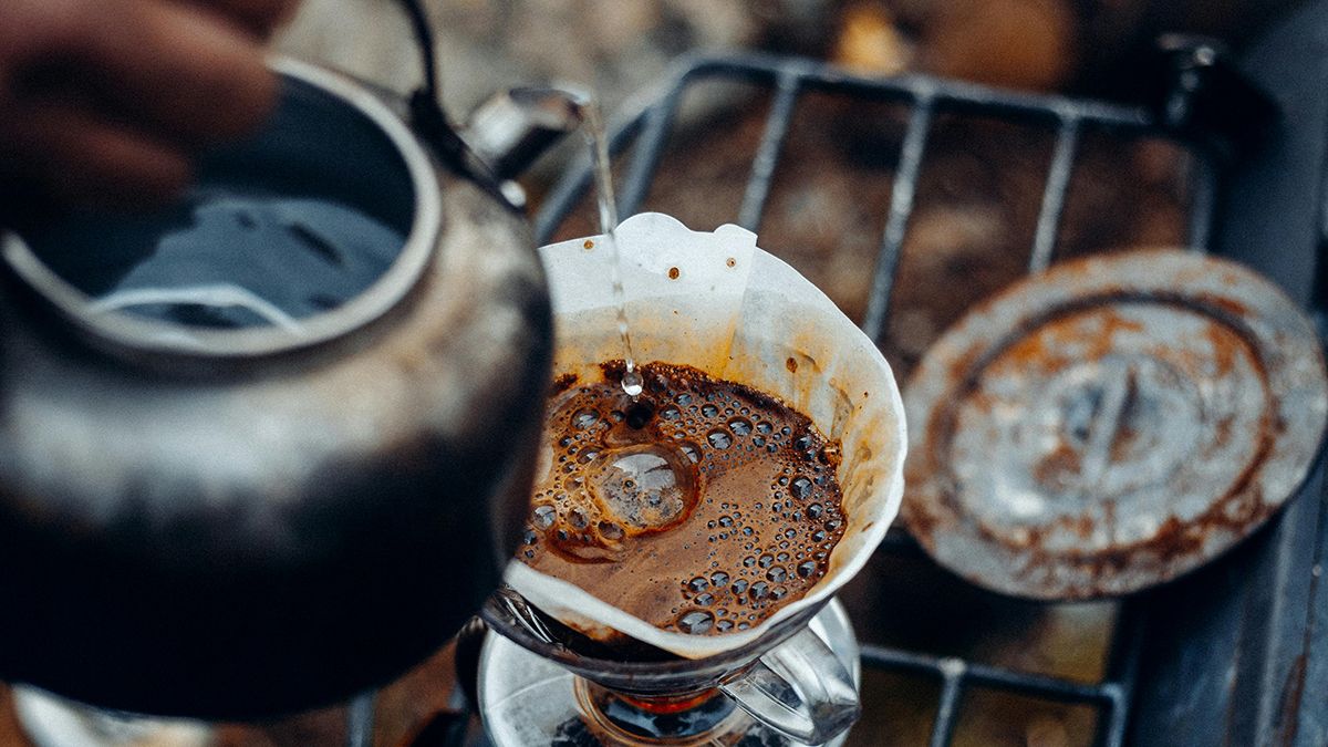 Кофейная гуща является полезной для растений Кофейная гуща является полезной для растений