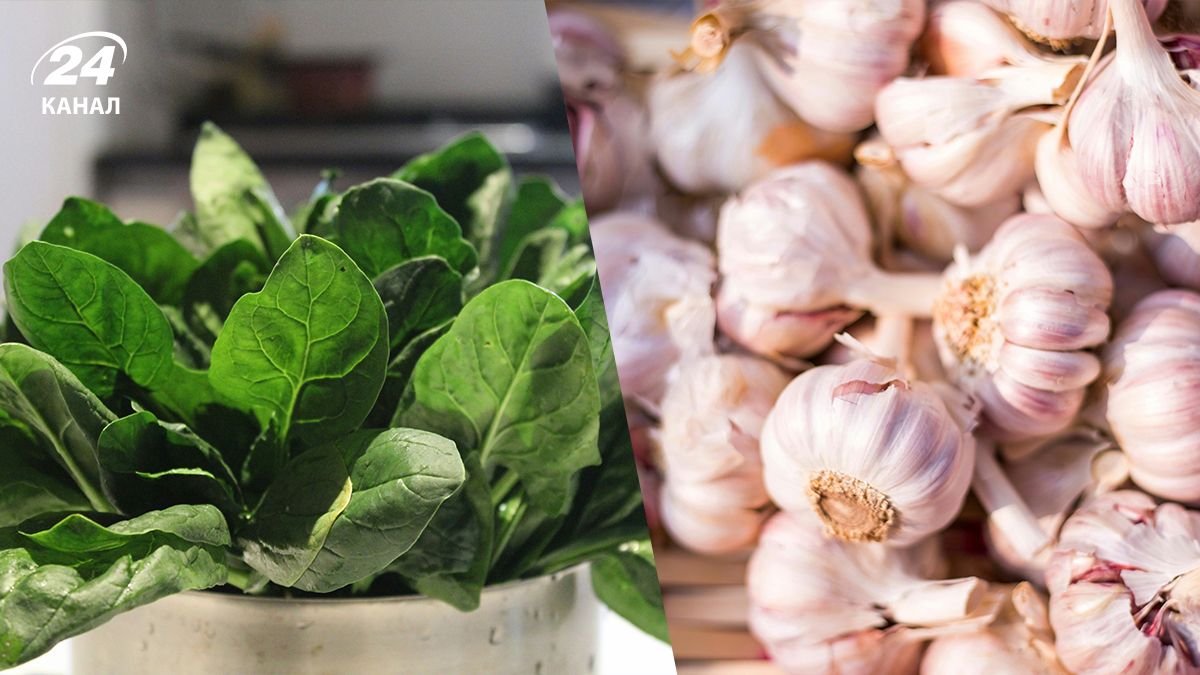 Що посадити восени - добірка овочів і трав Що посадити восени - добірка овочів і трав