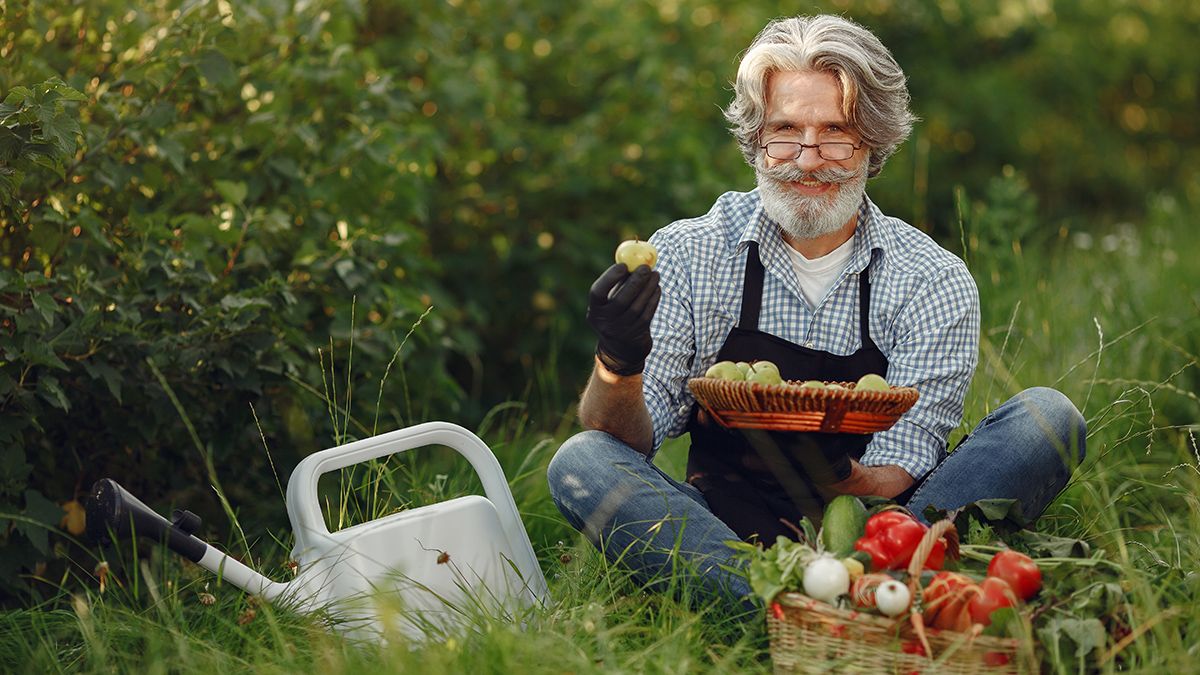 Кісткове борошно здатне збільшити урожай Кісткове борошно здатне збільшити урожай