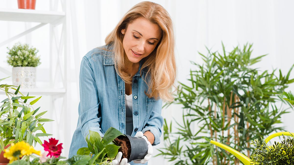 Квіти, які можна посадити у вересні Квіти, які можна посадити у вересні