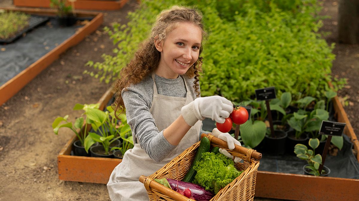 Деякі рослини можна садити восени Деякі рослини можна садити восени