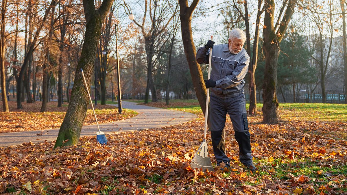Поради догляду за садом восени Поради догляду за садом восени