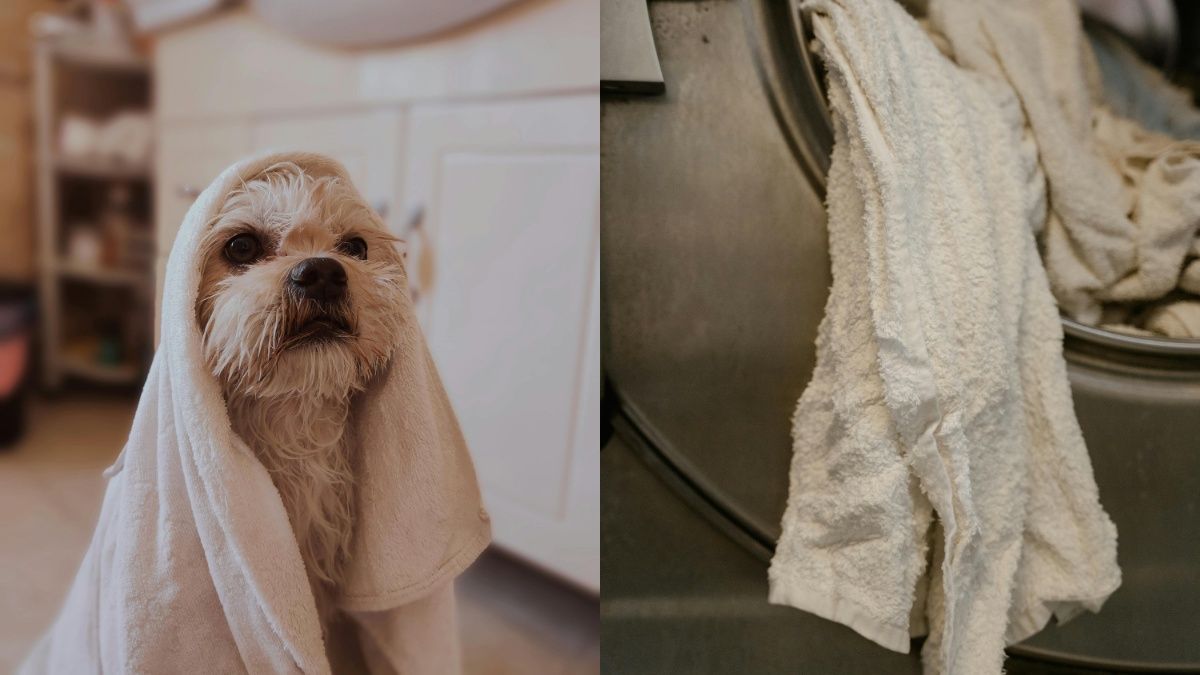 Простой способ стирки полотенец Простой способ стирки полотенец