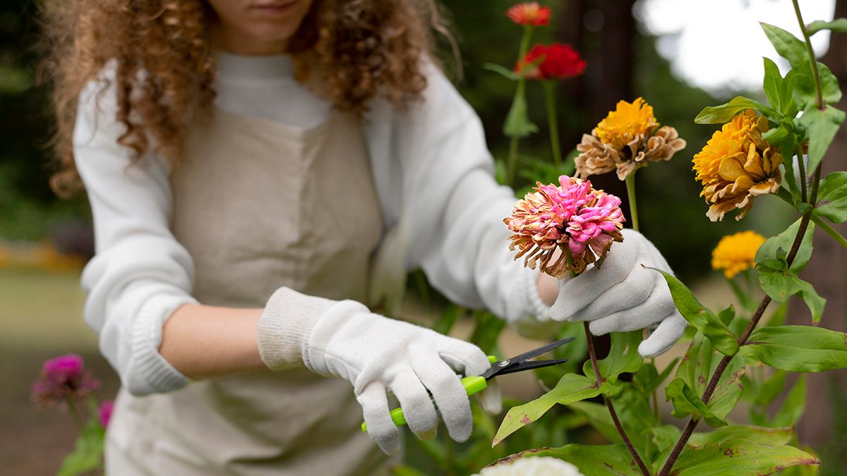 Список квітів, які потрібно обрізати Список квітів, які потрібно обрізати