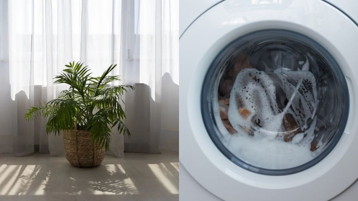 Порада, яка допоможе ідеально відіпрати тюль Порада, яка допоможе ідеально відіпрати тюль