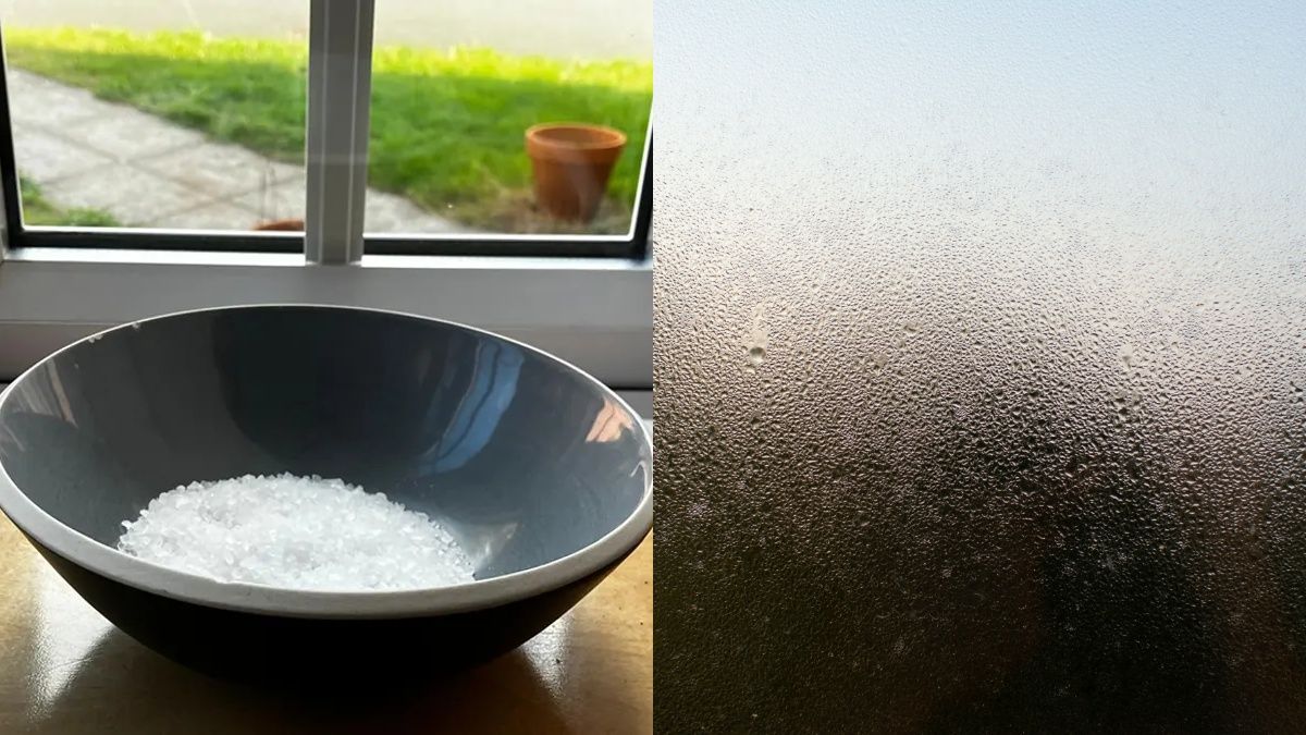 Как избавиться от конденсата на окнах Как избавиться от конденсата на окнах