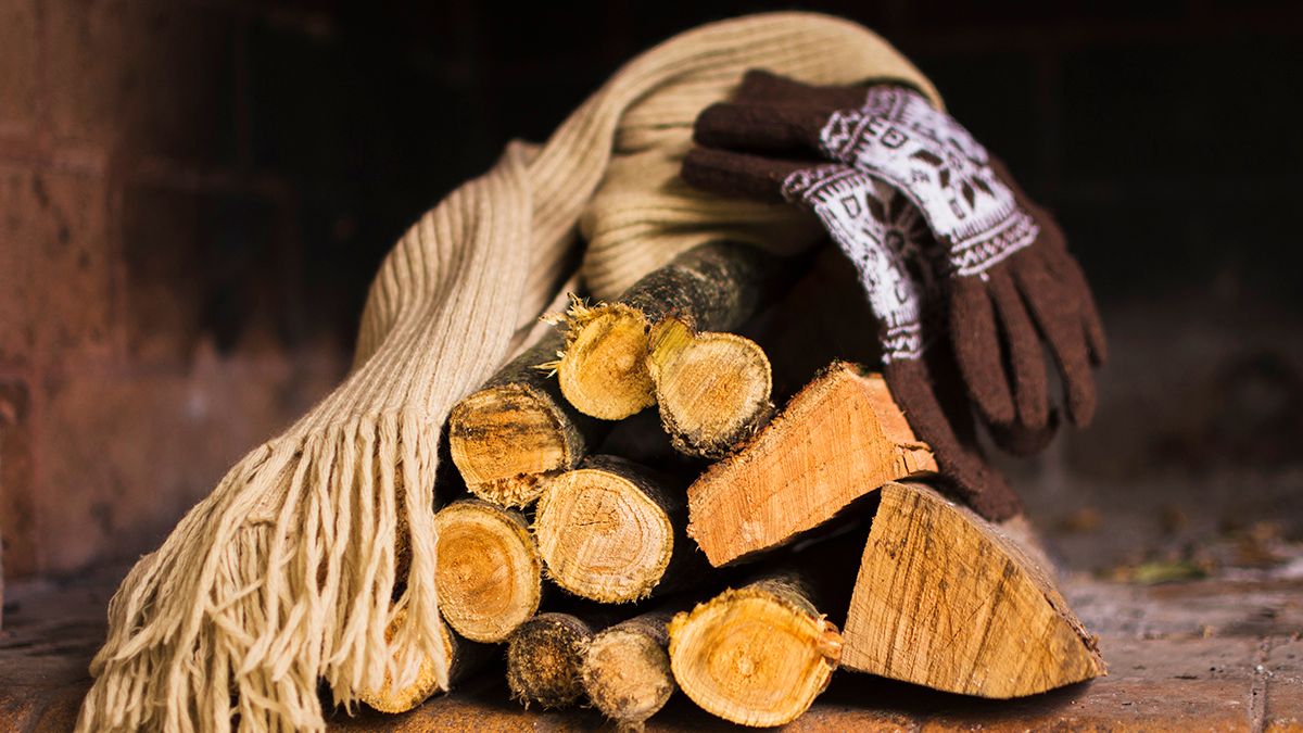 Советы по сушке дров на зиму Советы по сушке дров на зиму