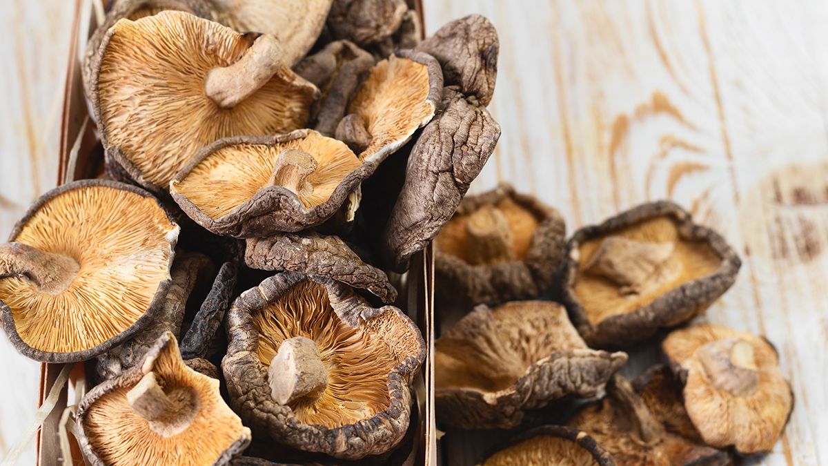 Правила зберігання сушених грибів Правила зберігання сушених грибів