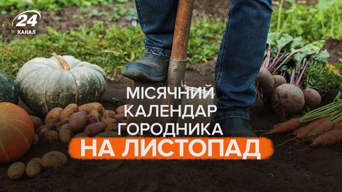 Календарь огородника на ноябрь