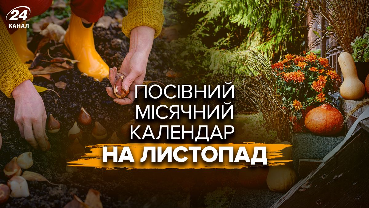 Посевной календарь на ноябрь Посевной календарь на ноябрь