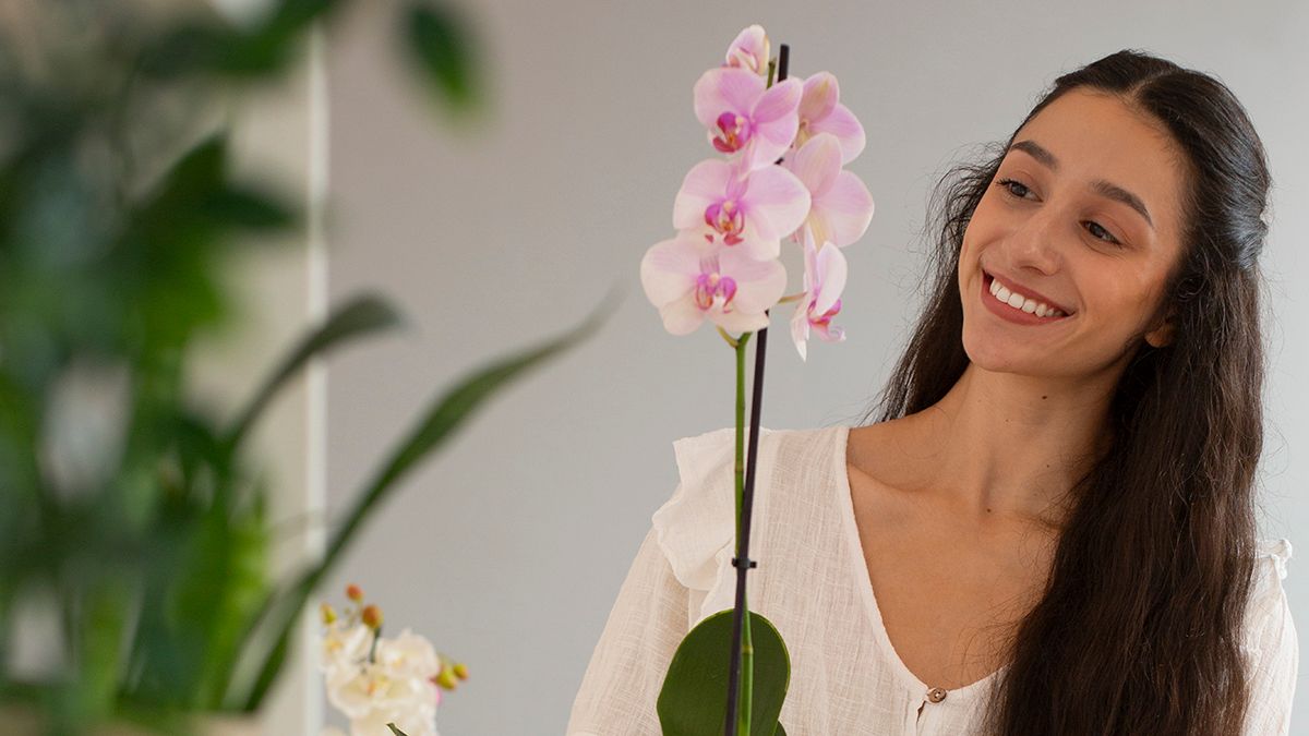 Назван самый лучший уход за орхидеей