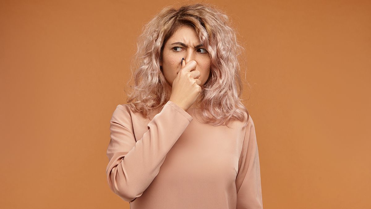 Причины затхлого запаха в подвале Причины затхлого запаха в подвале