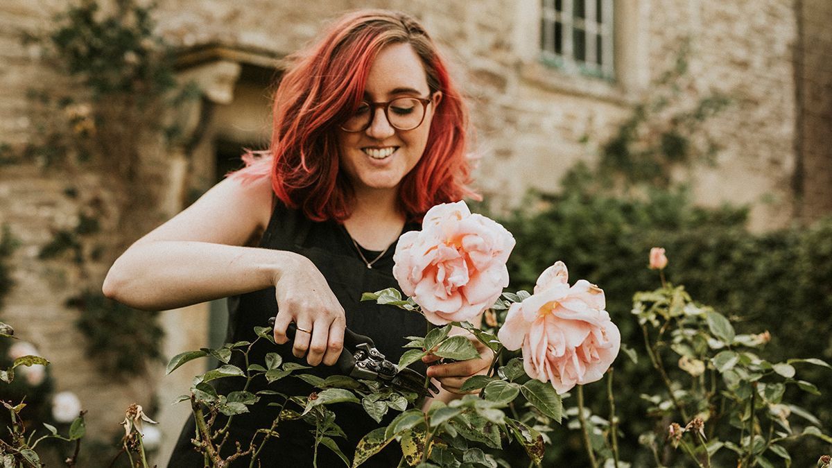 Підживлення для пишних троянд Підживлення для пишних троянд