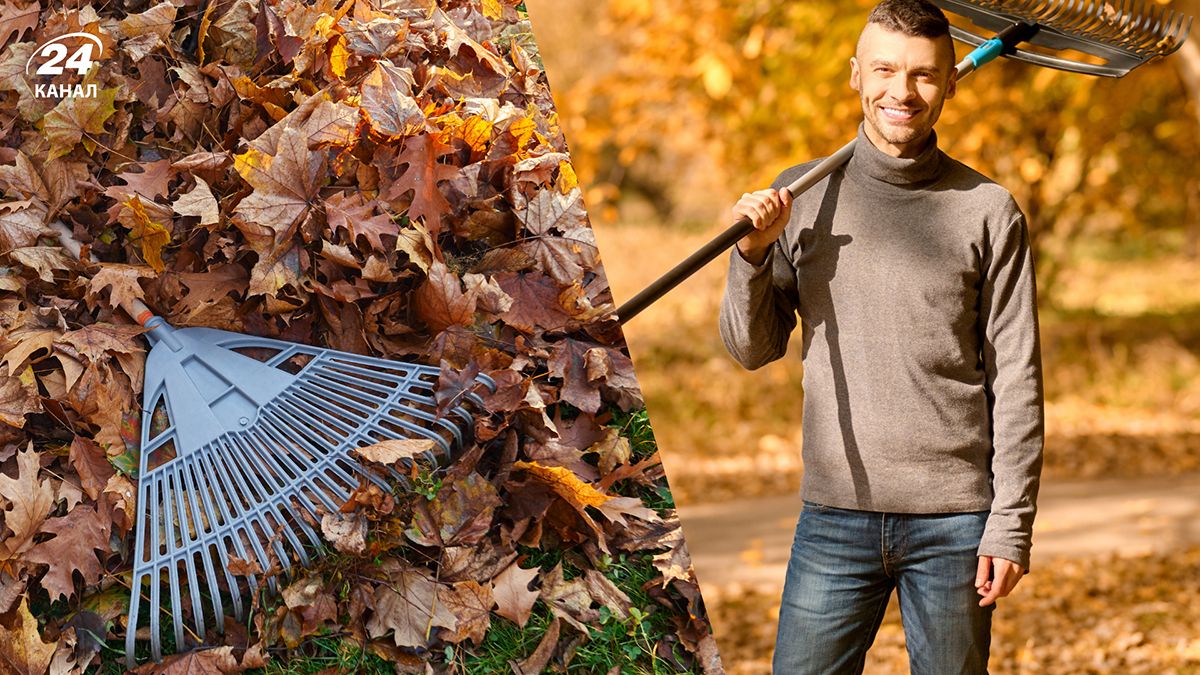 Опавшие листья не стоит сжигать Опавшие листья не стоит сжигать
