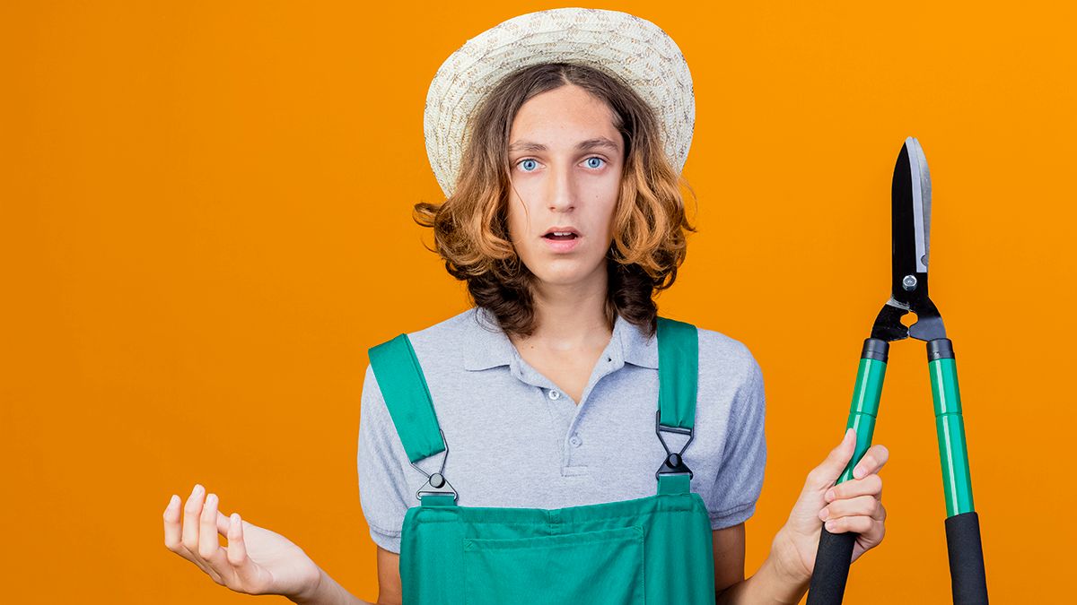 Растения, которые нельзя обрезать осенью