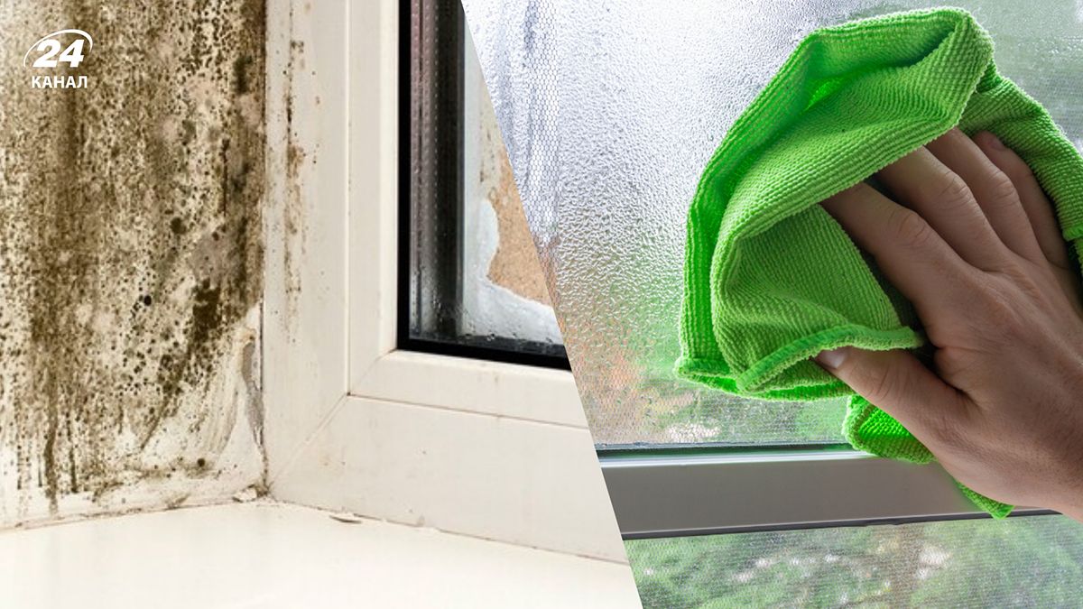 Быстрый способ избавиться от конденсата и плесени