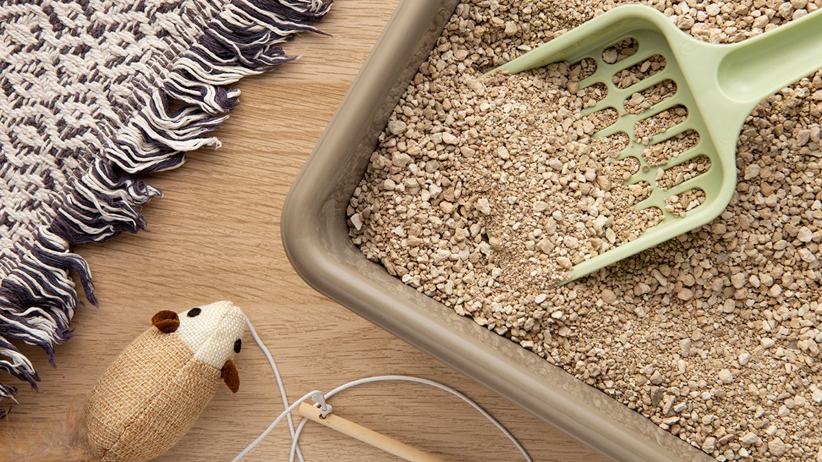 Котячий наповнювач абсорбує вологу Котячий наповнювач абсорбує вологу