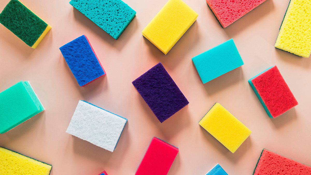 Колір губки має різне значення Колір губки має різне значення