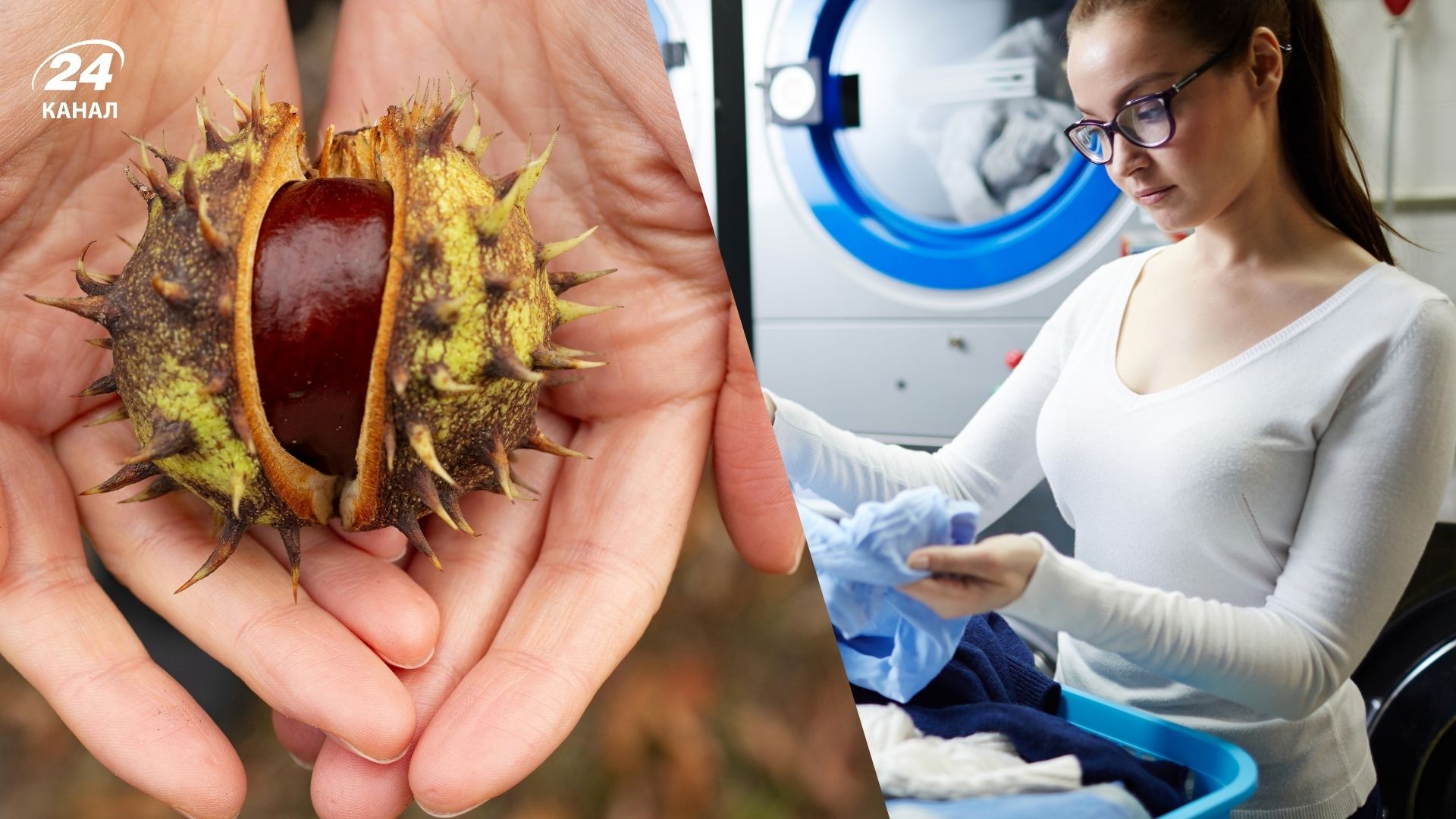 Кінські каштани підходять для прання