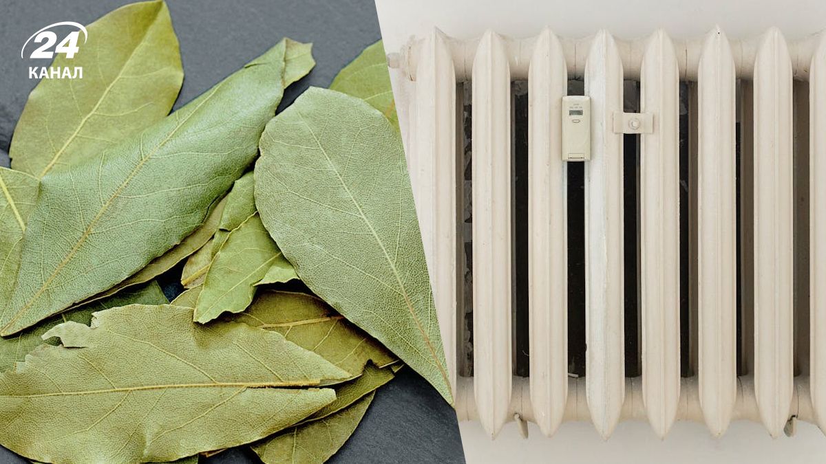 Лавровый лист можно класть на батарею