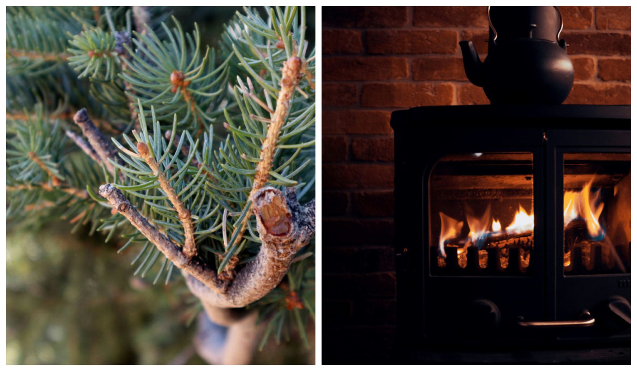 Какими деревьями отапливать камин