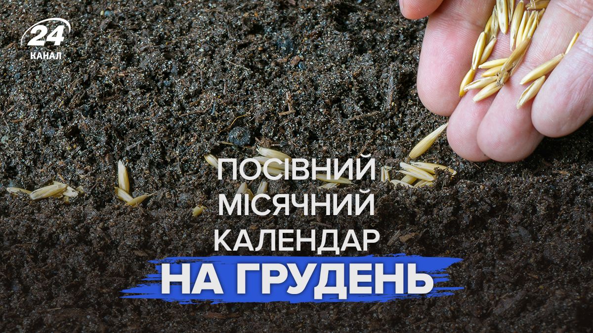 Посевной календарь на декабрь 2025 года Посевной календарь на декабрь 2025 года