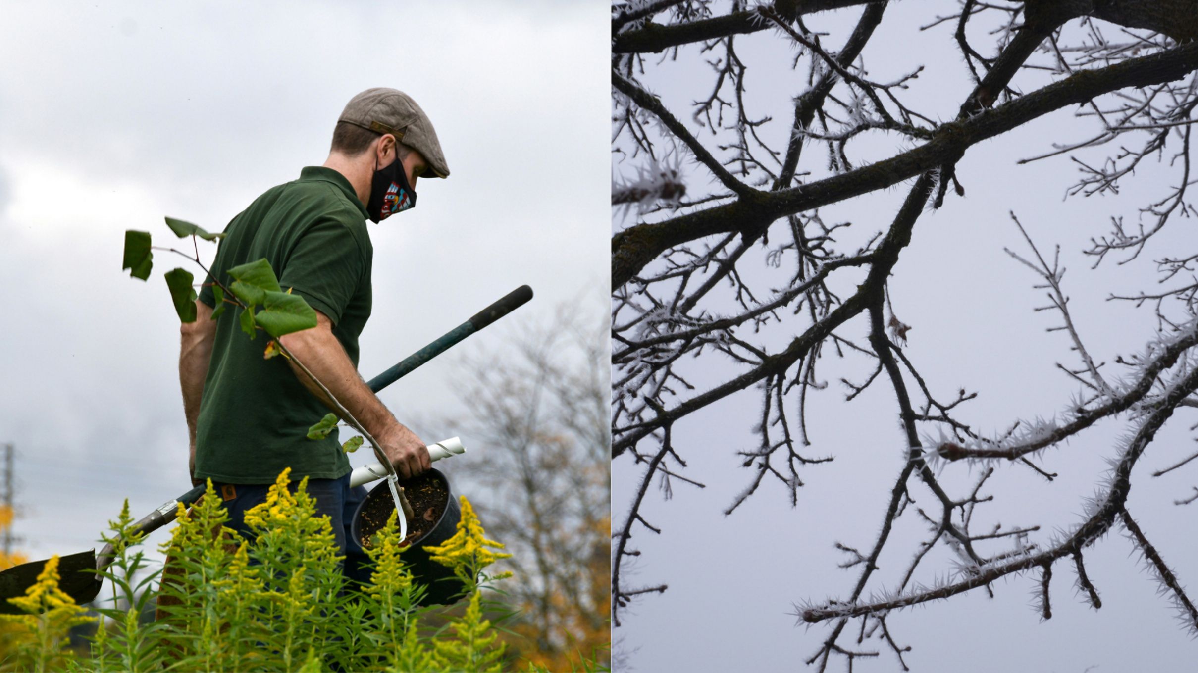 Це допоможе вртятувати дерева Це допоможе вртятувати дерева