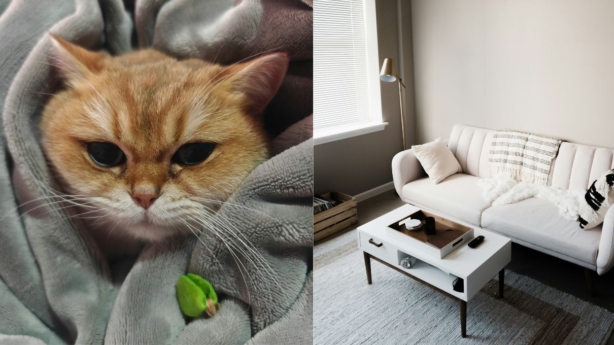 Простые способы утеплить квартиру