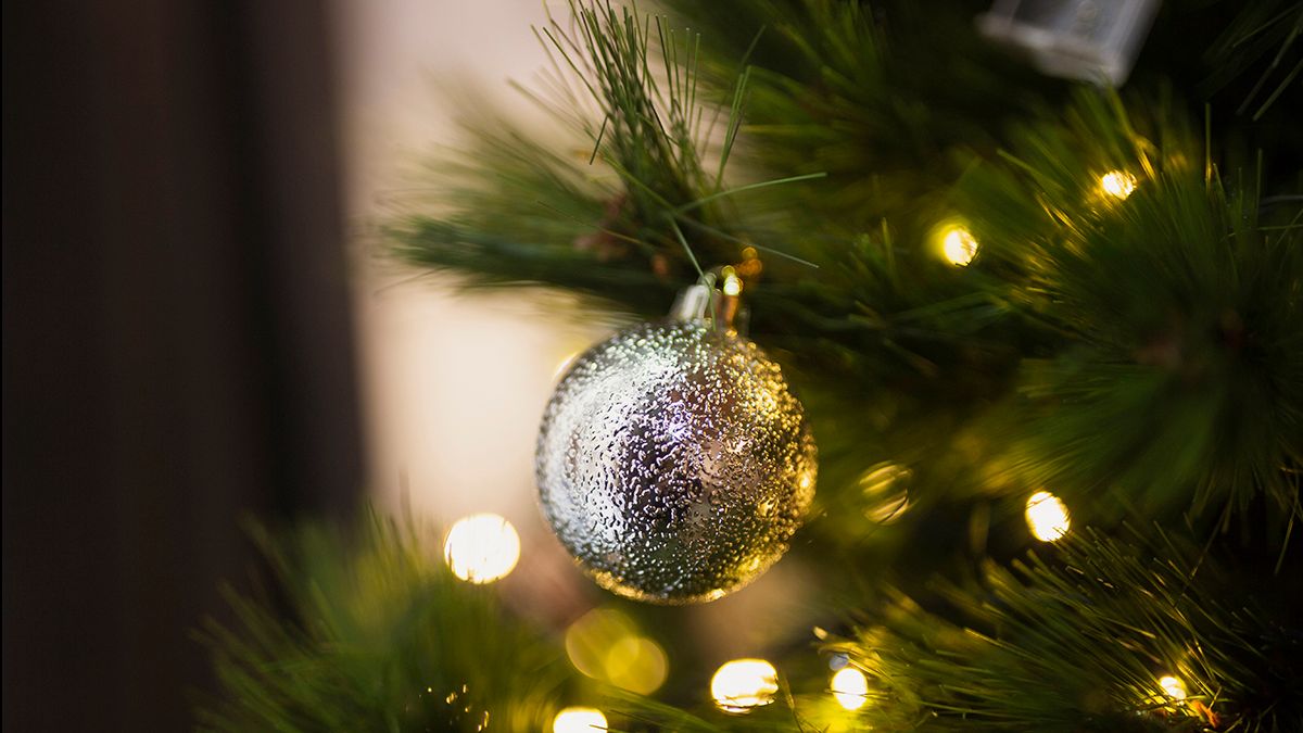 Советы, которые помогут елке дольше простоять Советы, которые помогут елке дольше простоять