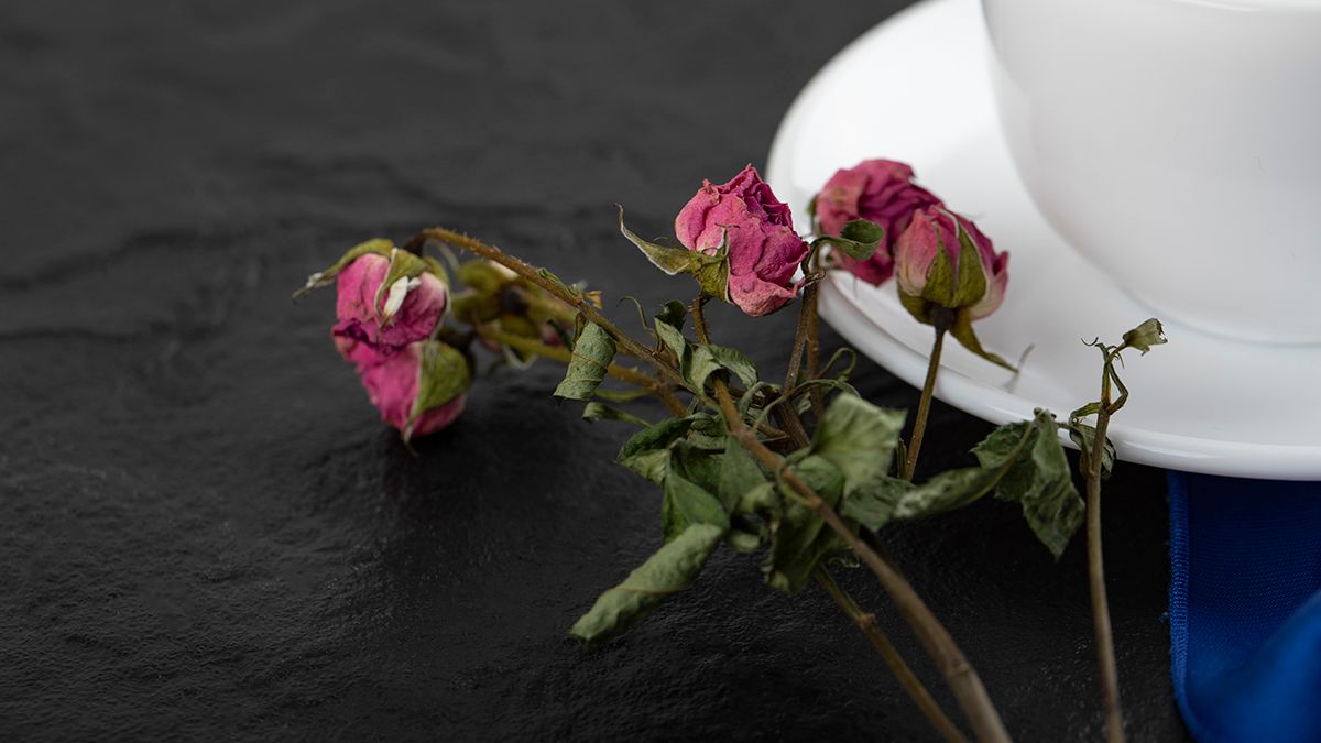 Цветы вянут из-за распространенной проблемы Цветы вянут из-за распространенной проблемы