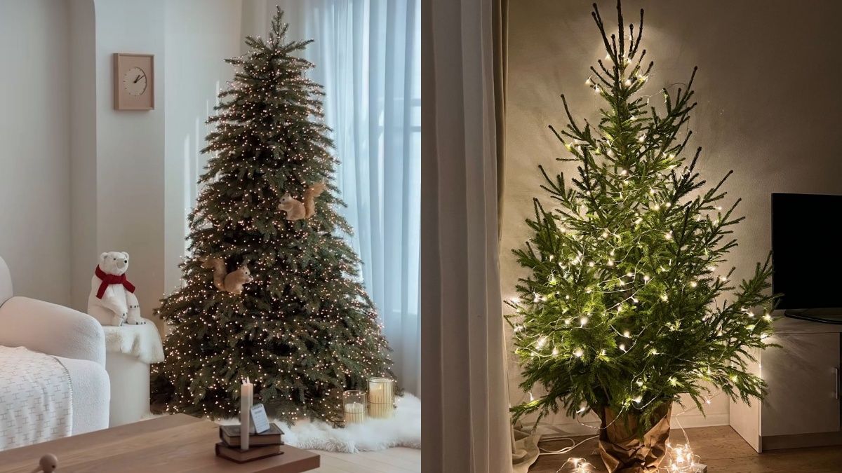 Худшие места для елки Худшие места для елки