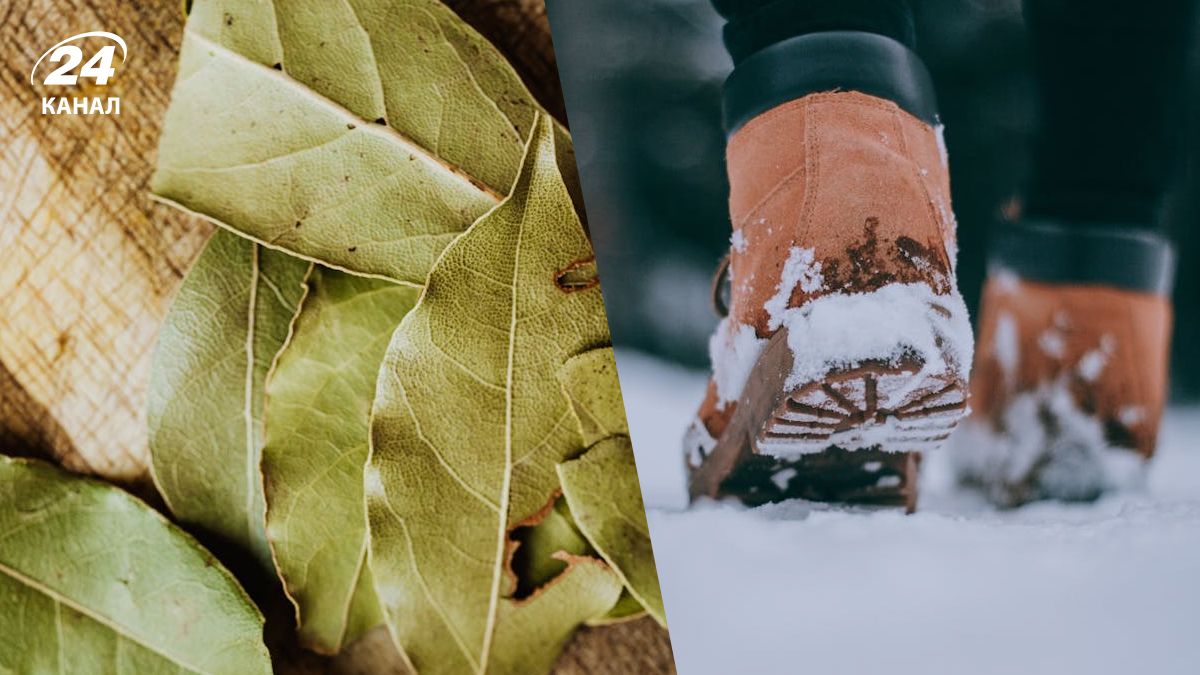 У взуття варто класти трохи лаврового листя У взуття варто класти трохи лаврового листя