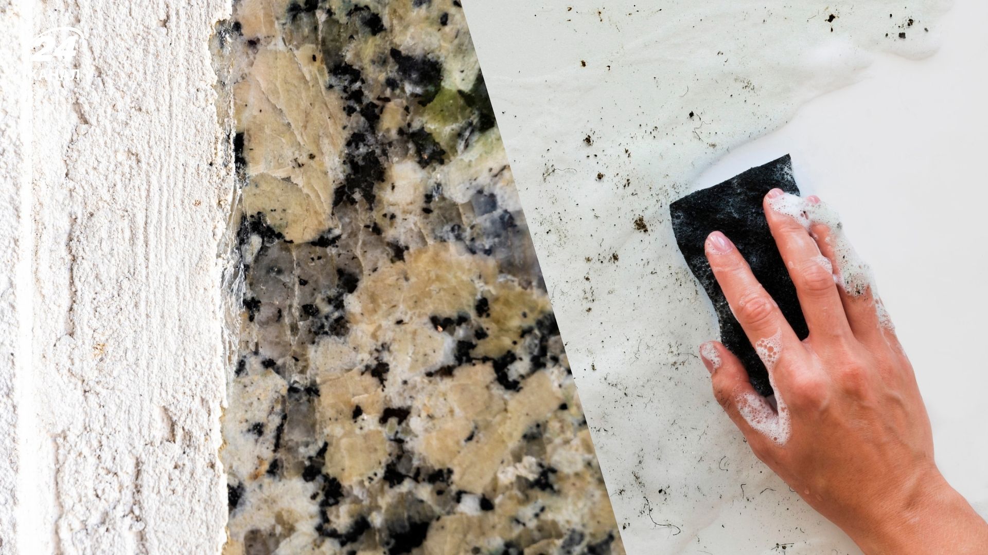 Горілка виводить плісняву Горілка виводить плісняву