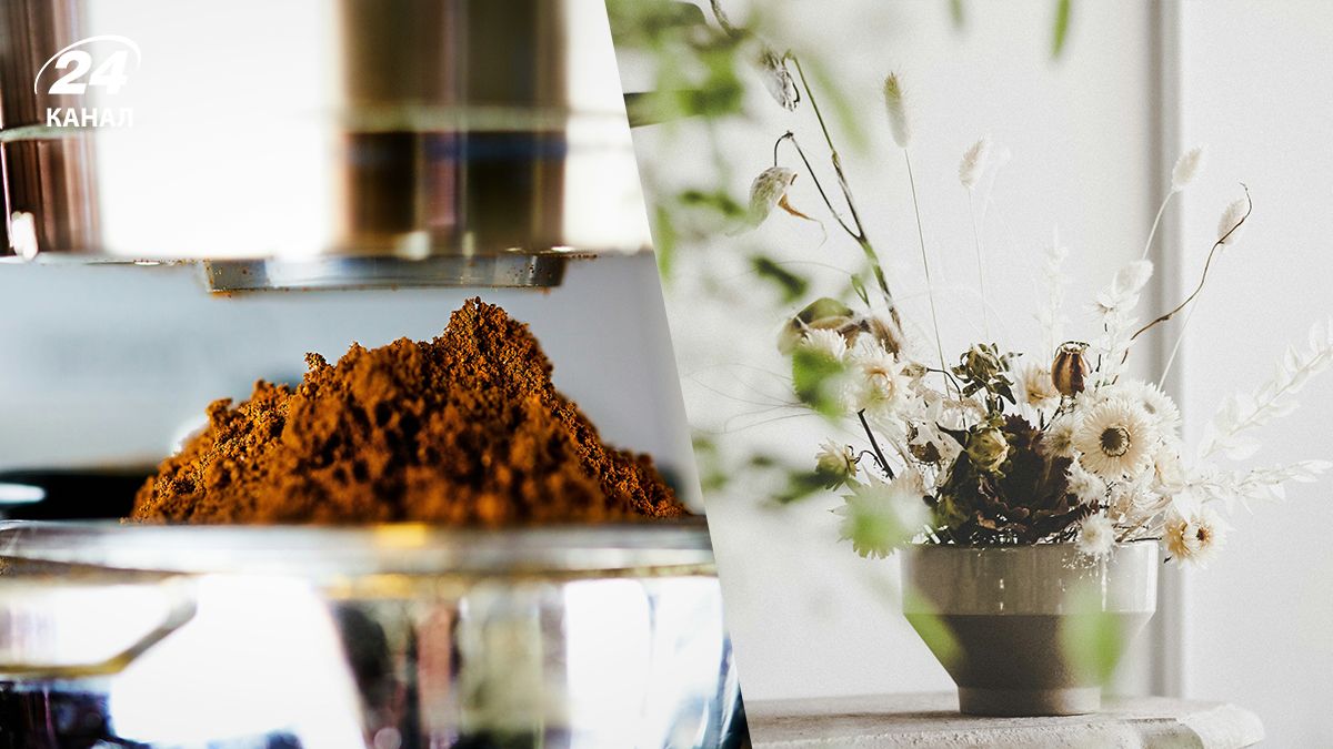 Лучшие удобрения для ваших растений - какие продукты с кухни можно использовать