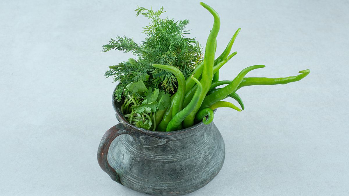 Порада, яка збереже зелень Порада, яка збереже зелень