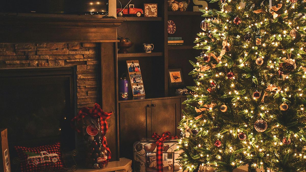 Ялинку варто тримати в оселі ще після Нового року Ялинку варто тримати в оселі ще після Нового року