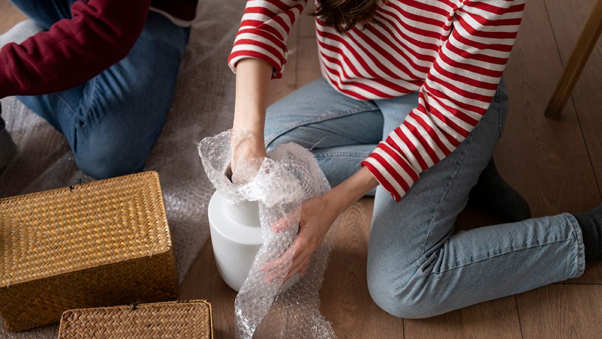 Бульбашковою плівкою можна утеплити рослини Бульбашковою плівкою можна утеплити рослини