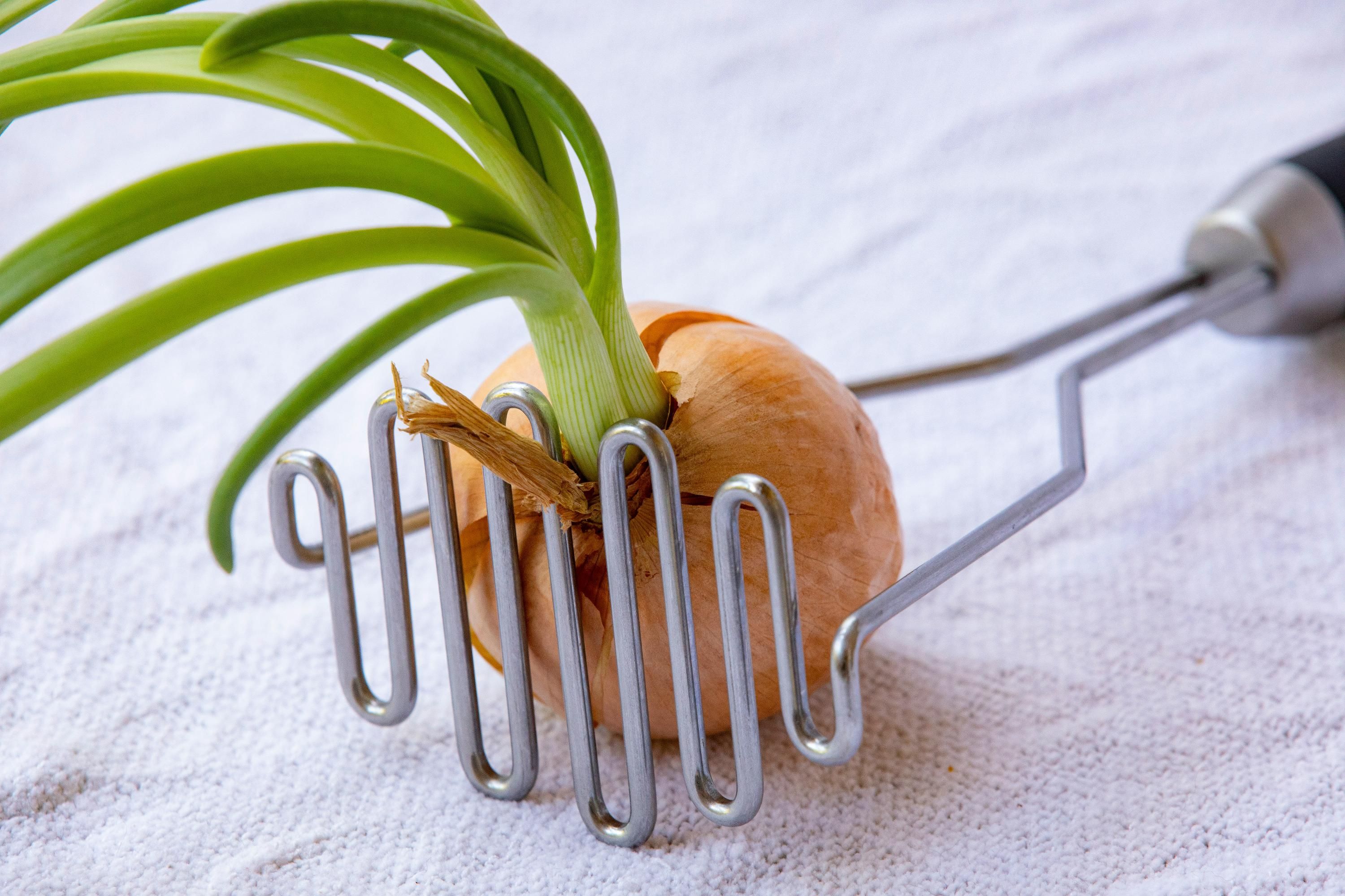 Дома всегда будет лук